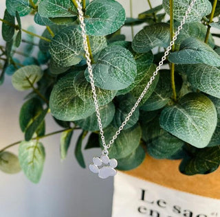Collier Élégant en Argent avec Pattes – Acier Inoxydable