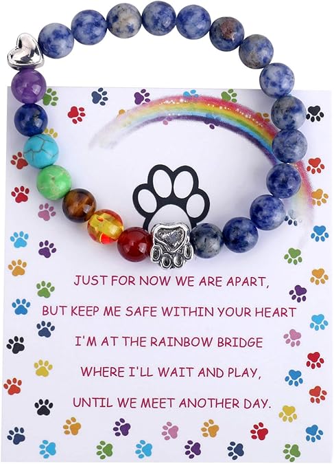 Bracelet Mémorial Pont de l'Arc-en-Ciel – Cadeau de 7 Perles de Chakra pour la Perte d'un Animal
