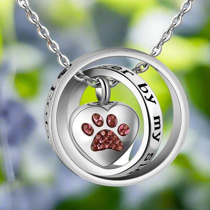 "Plus Jamais à Mes Côtés, Toujours Dans Mon Cœur" – Collier en Acier Inoxydable avec Urne en Forme de Patte