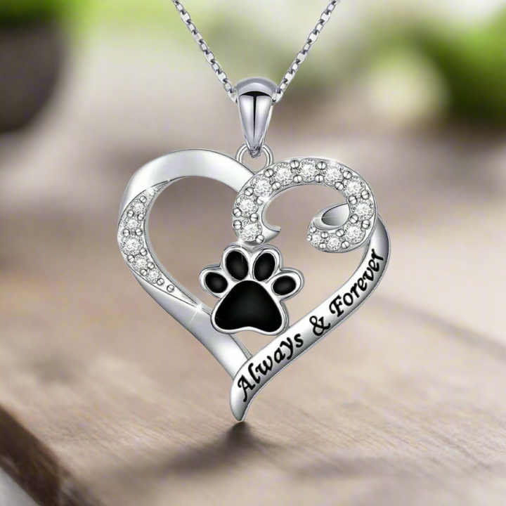 Collier Pattes de Chien – Design Cœur en Acier Inoxydable avec Zirconia