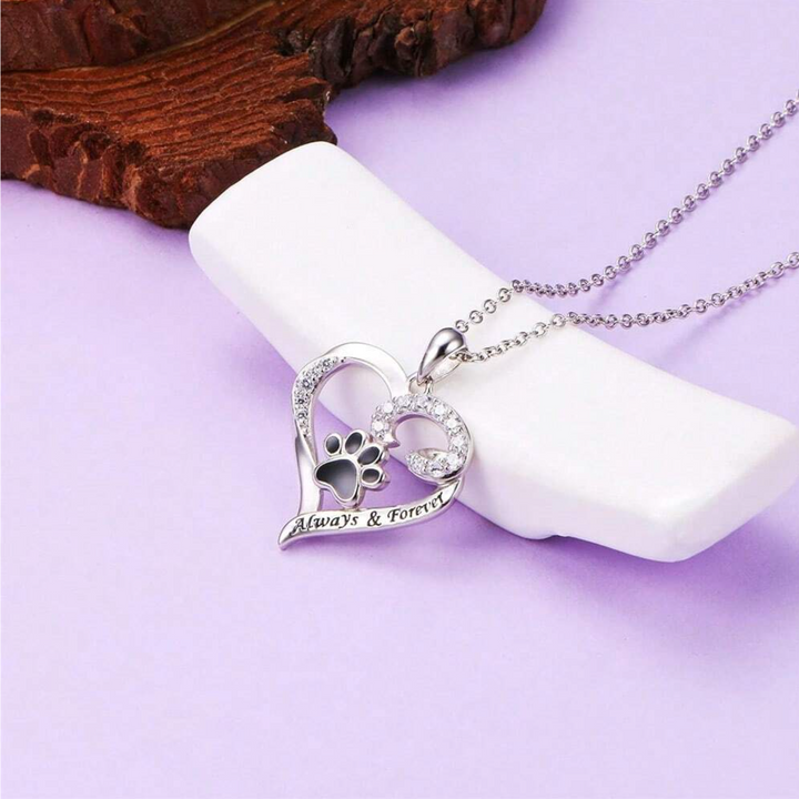 Collier Pattes de Chien – Design Cœur en Acier Inoxydable avec Zirconia