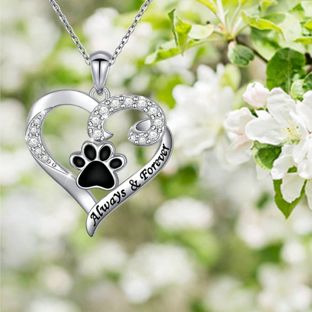 Collier Pattes de Chien – Design Cœur en Acier Inoxydable avec Zirconia