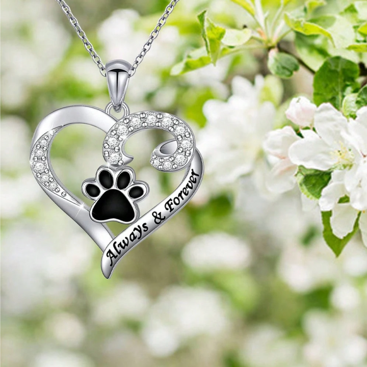 Collier Pattes de Chien – Design Cœur en Acier Inoxydable avec Zirconia