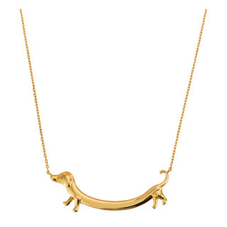 Collier en ton or de teckel